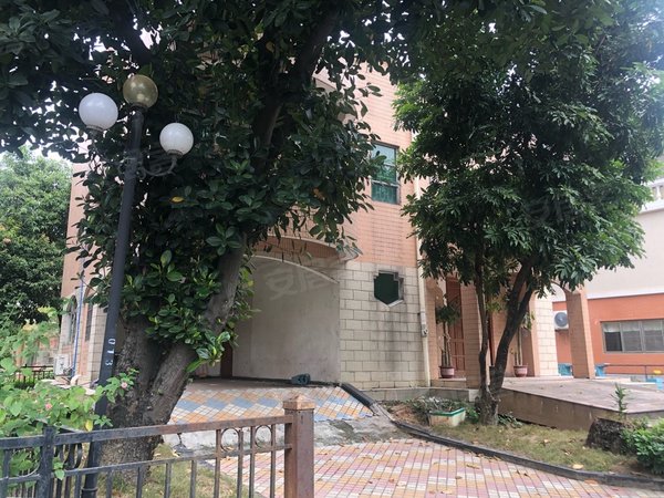 广州南沙金洲逸涛雅苑(别墅)独栋3层  6房5卫生  可停2台车出租房源