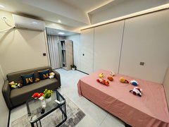 深圳福田上梅林上梅林奢华一房急租 押一付一 民水民电家私齐全拎包入住出租房源真实图片