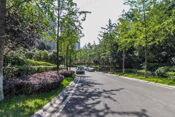 重庆小区 渝中小区 化龙桥小区 雍江翠璟 雍江翠璟怎么样发布于2021年