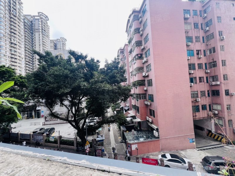 地铁口 电梯房 正南向望花园带大花园平台实用三房两厅,金雅苑二手房