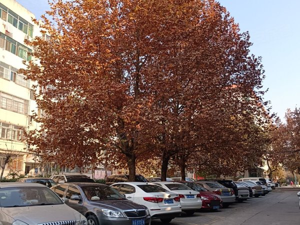 咸阳渭城渭城城区陕六建家属院毕塬路  人民医院旁 陕工院家属院 两室