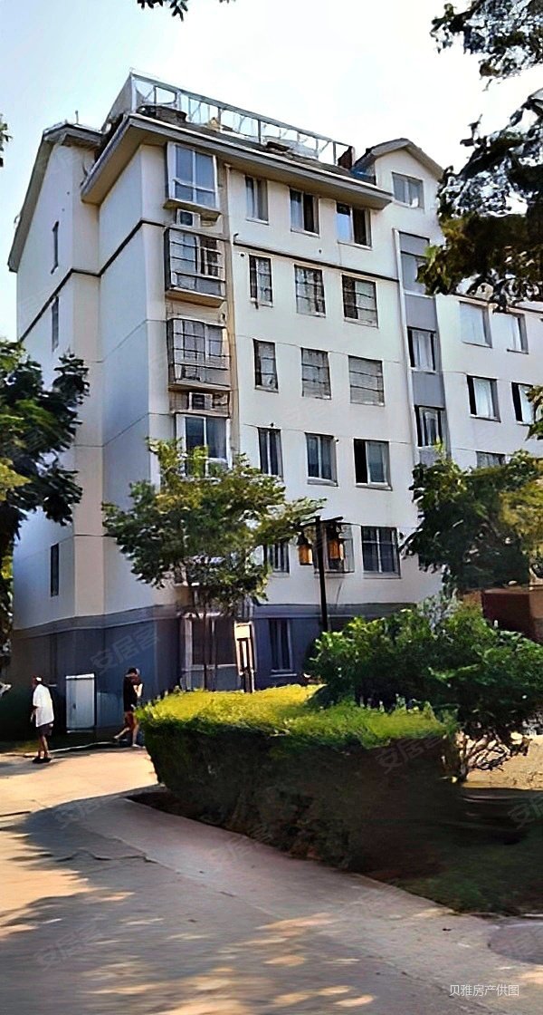江宁禄口江山星汉城顶跃利用空间很大