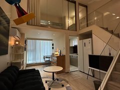 泸州江阳城西天际大厦Loft，网红同款，租房也要有格调出租房源真实图片