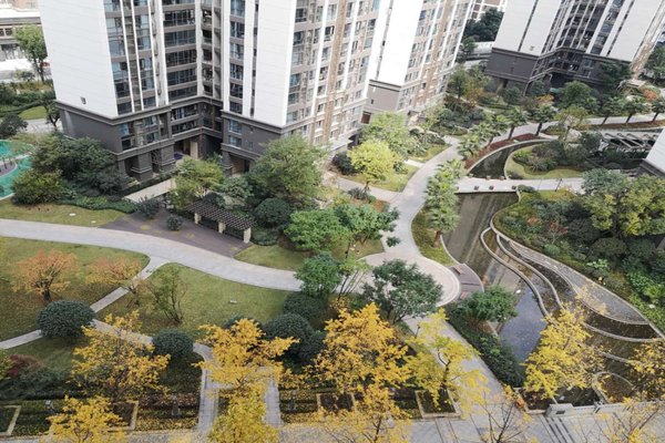 成都小区 天府新区小区 华阳小区 戛纳湾金棕榈 戛纳湾金棕榈怎么样