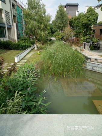 仅此一套, 绿岛花园(别墅)二手房, 5室3厅3卫, 670万元 - 苏州58安居