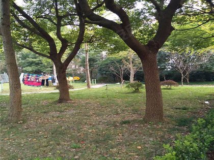 樱花坊优点 不足 樱花坊怎么样 樱花坊周边房产中介经纪人评价 上海安居客