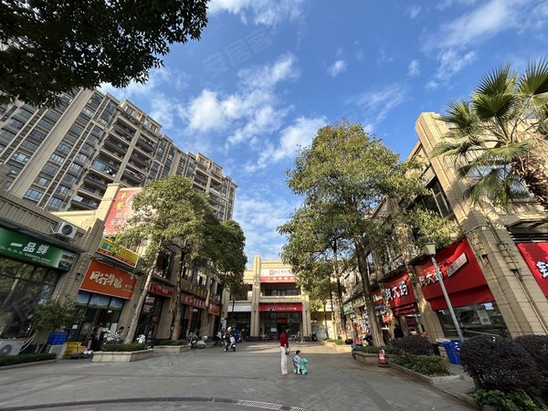 街口中心区租房,珠光御景山水城 1室1厅1卫 50平 精装修 电梯房,从化