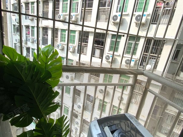 深圳龙华龙华共和新村直租龙华站500米 精装大单间 免中介费 押一付一