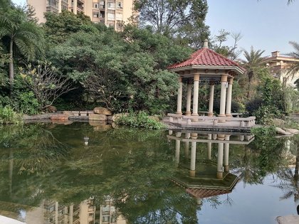 距离有大布小学,麻涌中学【轨道交通】小区附近500米有多个公交站台