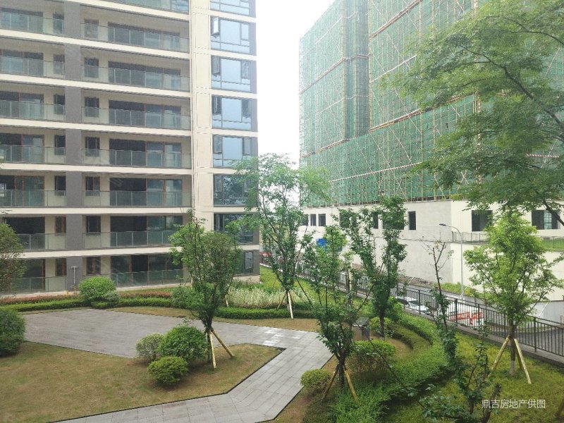 俊豪嵘盛里141平,房东亏到摇裤儿都么得了,飞机跑道大阳台