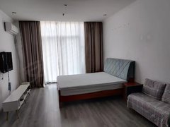 湖州德清德清市区汇丰广场，朝南，带阳台，面积45平米，精装修，拎包入住出租房源真实图片