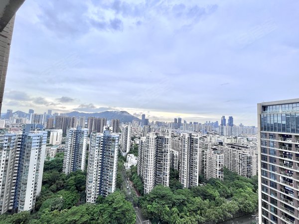 深圳南山深圳湾汉森吉祥龙花园汉森吉祥龙花园 3室2厅2卫 89平 南北