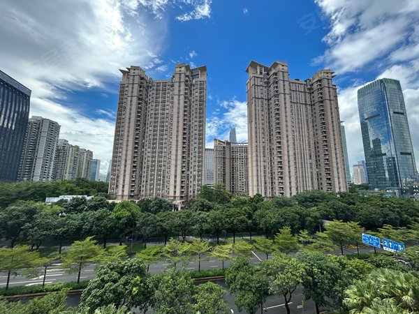 深圳福田福田中心区雅颂居深圳 雅颂居顶楼中空复式出租 豪华装修