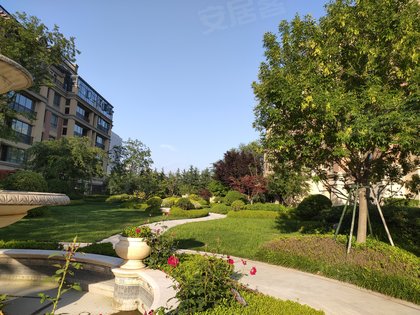 歌尔绿城桂花园