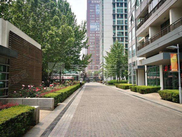 大望路租房,南北通透 2室2厅 华贸公寓,朝阳租房-北京58安居客