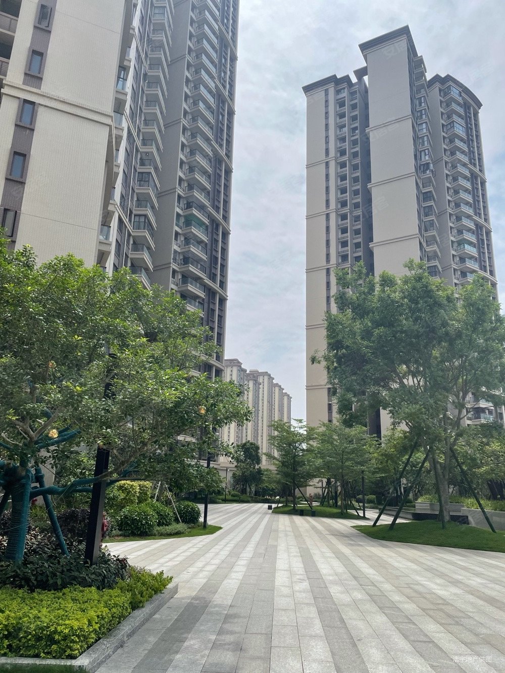 骏珑汇景湾城中央实用三房精装一万三现楼来电看房