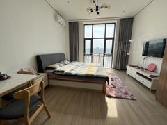 北京大兴西红门班车直达宋家庄 品牌公寓 落地窗 超大开间 免费专属车位出租房源真实图片