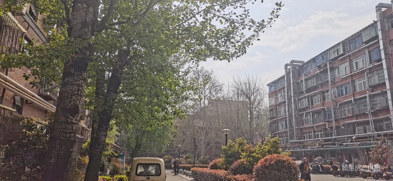 网>洛阳二手房>涧西二手房>牡丹公园二手房>矿山厂2号街坊>800_369