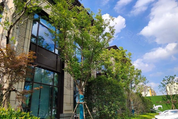 联发红城投藏珑大境