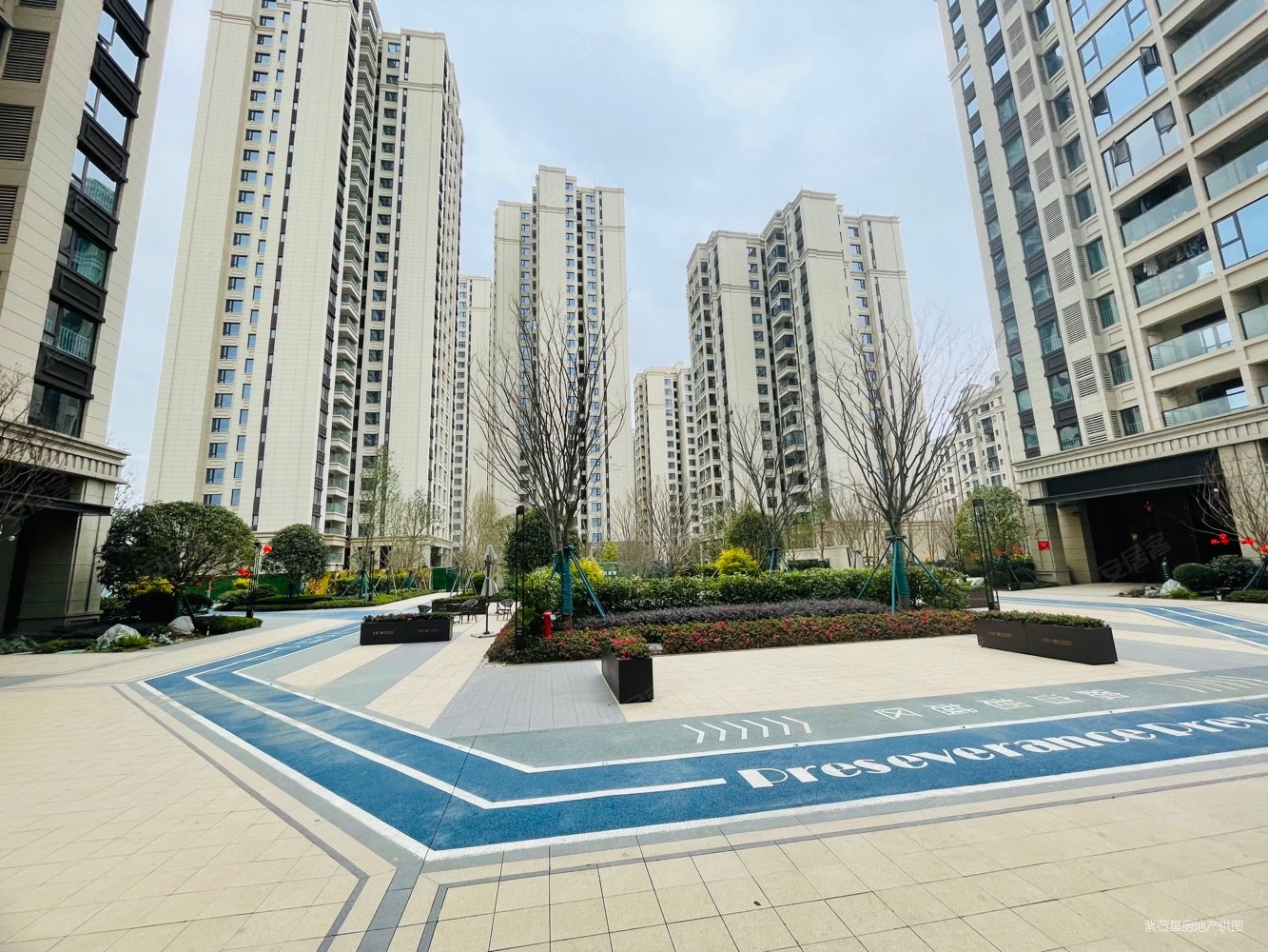 保利青江和府一期3室2厅2卫95㎡南北76万