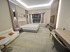 佛山南海金融高新区京华广场一房一厅出租 家私家电齐全拎包入住出租房源真实图片