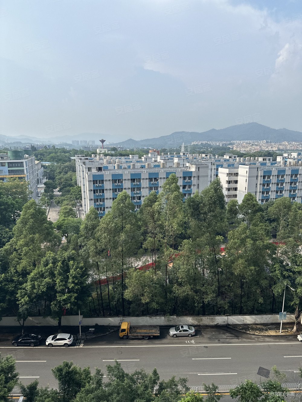 汇景新城棕榈园