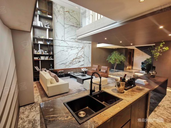 双拼别墅,豪装样板间出售(前后百平花园,送地下产权双车位)