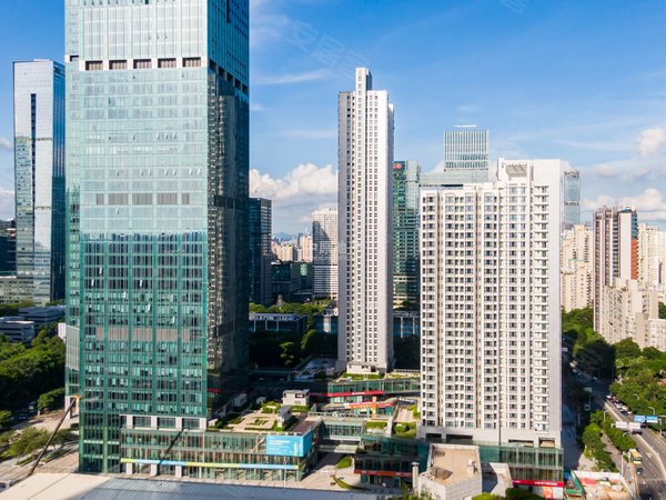 深圳湾科技生态园 2室2厅1卫 配套齐全 精装修 高档公寓