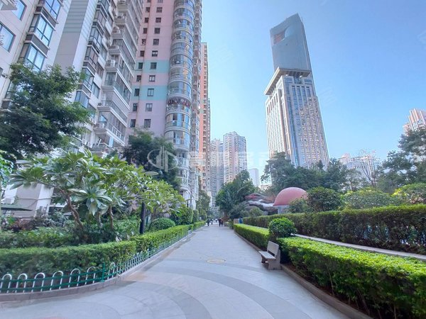2025年旅游地产行业发展现状研究及未来趋势展望分析