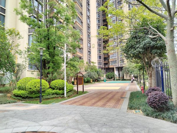 【多图】西城1号,相思湖新区租房,急租一号线地铁口100米,精装3房两卫