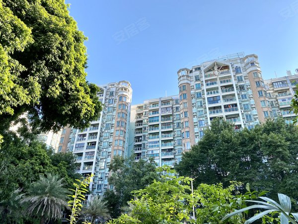 广州白云黄石富力阳光美居真盘眞价 阳光美居 电梯高层 精装3室 南向