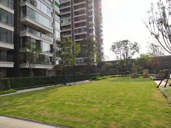 【多图】保利领秀广场(商住楼),凤岭南租房,凤岭南保利领秀广场全新