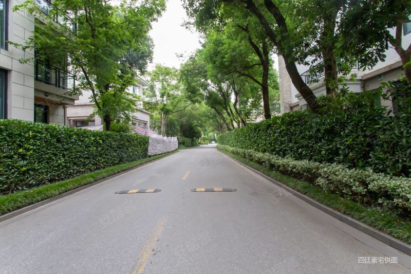 棕榈泉花园 中间楼层 满五 精装好房 朝南 低容积