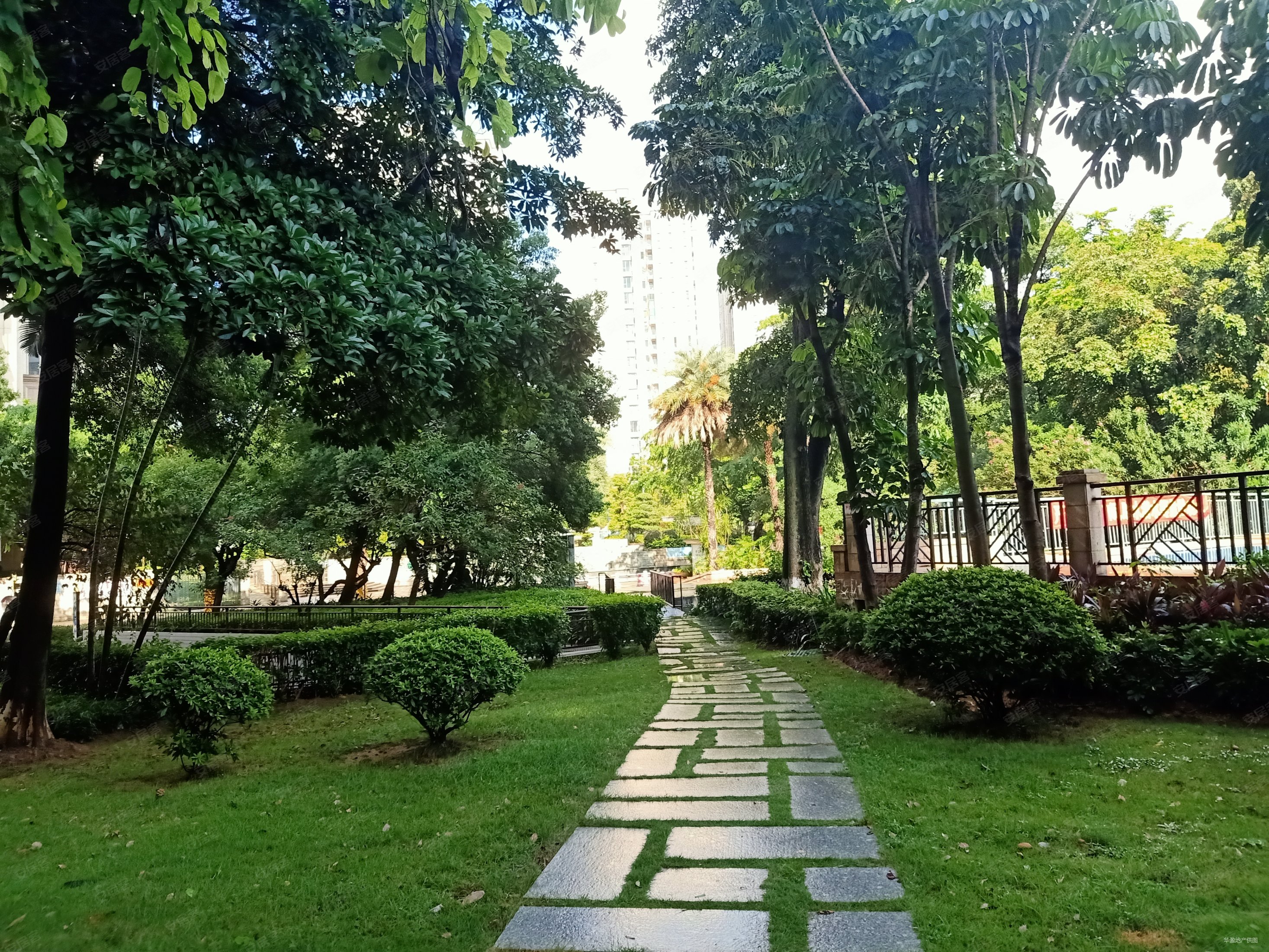 丰泰东海山庄 正规商品房 南北通透 中间楼层 精装修