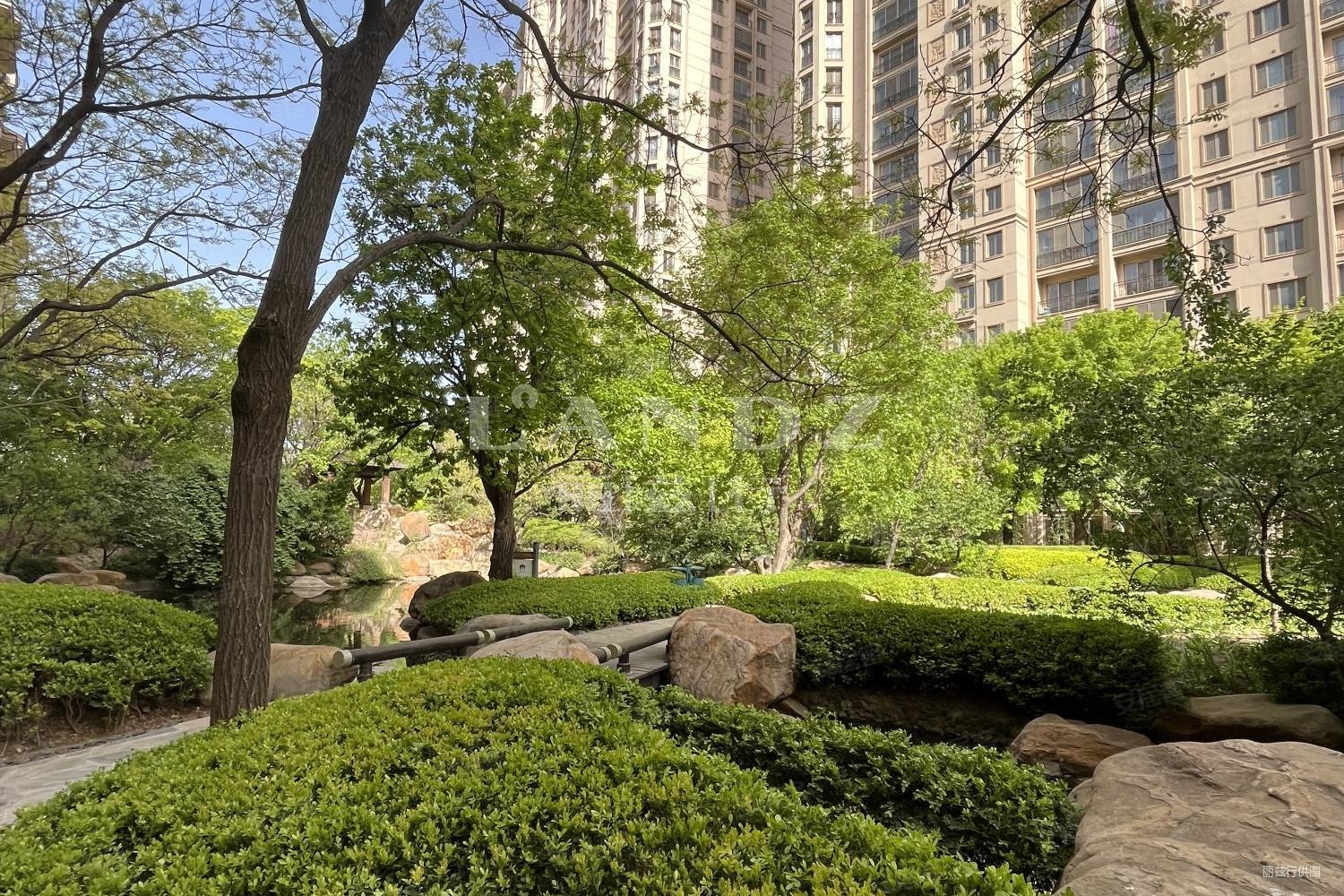 星河湾畅园4室256双卧客厅朝南中层观景层