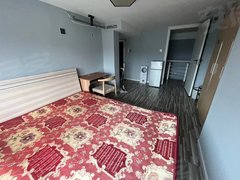 成都高新区美年广场民用水电气软件园天府五街嘉年华青年城拎包入住精装修电梯房出租房源真实图片