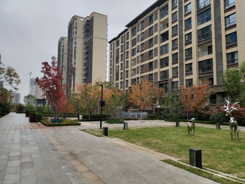 大华锦绣前城二三期a区