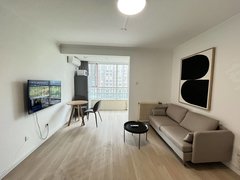 北京朝阳双井整租丨国贸 双井 精品开间 随时可看房子 下楼地铁口出租房源真实图片