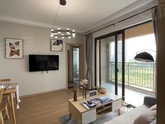 信阳羊山新区信阳东站高铁旁 全新2居 3部空调 房主人不错！出租房源真实图片