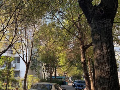 金鹤新城中房公寓 金耀路333弄 上海金鹤新城中房公寓二手房 租房 上海安居客