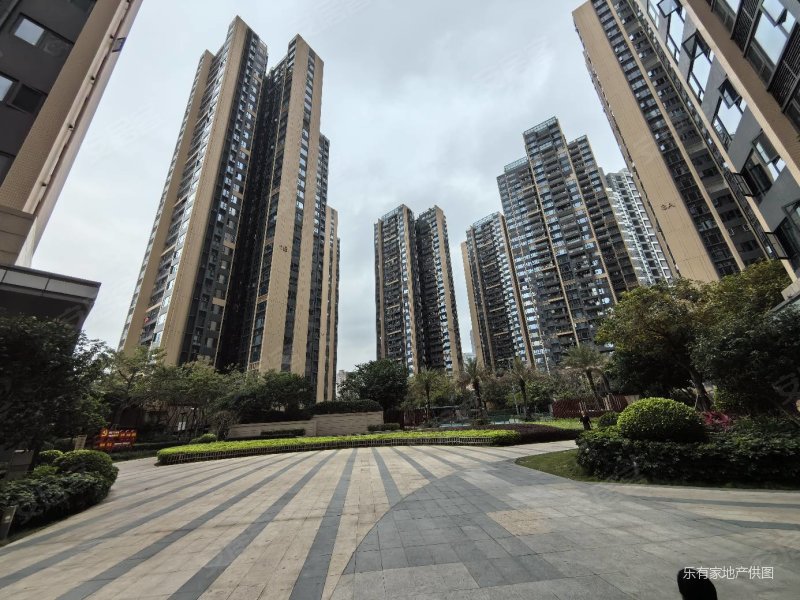 深中校园光明1号精装3房笋盘出售