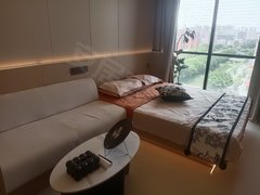 深圳宝安西乡精装公寓 拎包入住 家电齐全 民水民电 可养宠物出租房源真实图片
