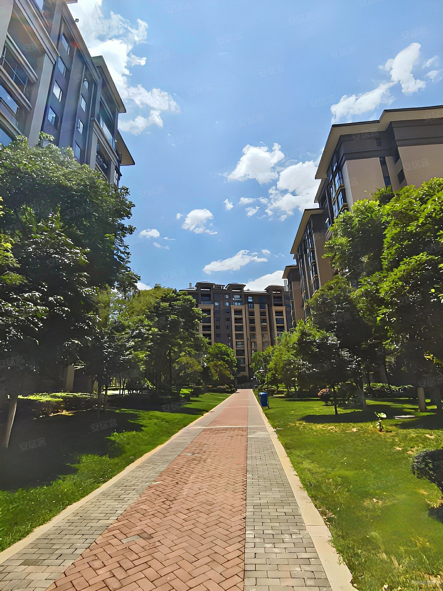 时代俊园逸园5室2厅2卫224.71㎡南北162万