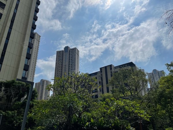 珠海高新区唐家湾仁恒滨海半岛(五期)仁恒滨海半岛五期精装3房,简约