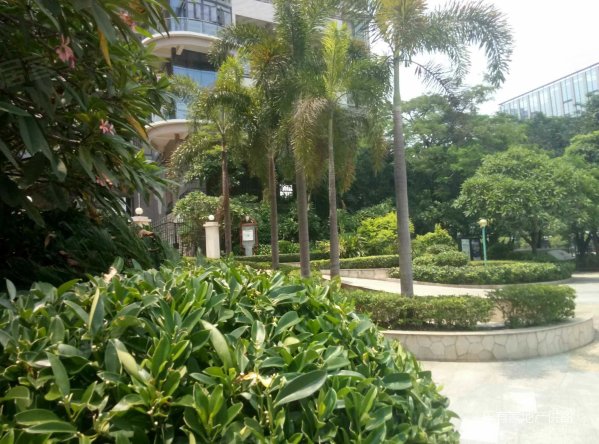 深圳二手房 福田二手房 景田南二手房 缇香名苑