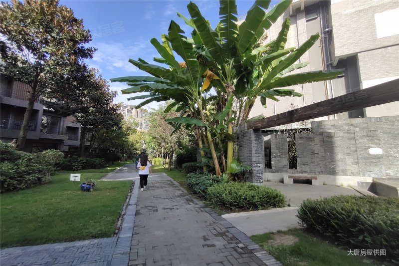 成都国奥村精装修医疗配套成熟带电梯中间楼层