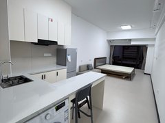 平阳鳌江鳌江商业城平阳银泰城 1室1厅1卫出租房源真实图片