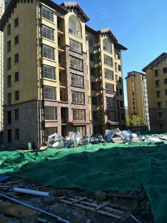 武清金泰丽舍温泉入户*洋房,顶楼加60平米阁楼,交通便利