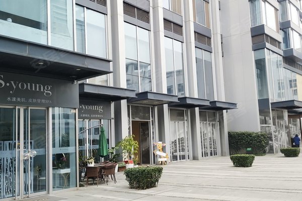 华侨城苏河湾行政公馆(一期)