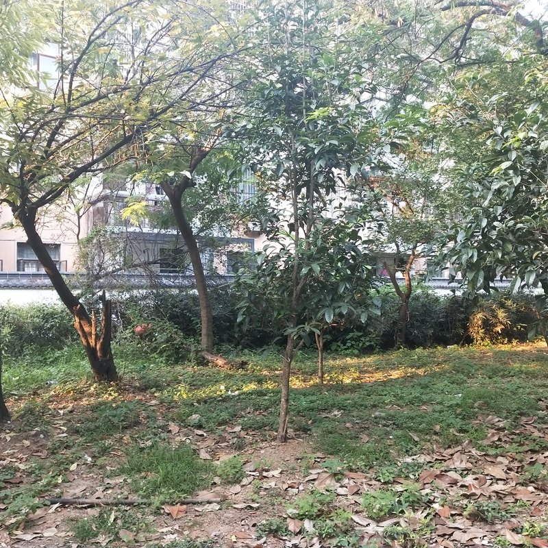 【兴佳小区, 兴佳小区小区详情,房价走势,房源,业主论坛】- 池州58